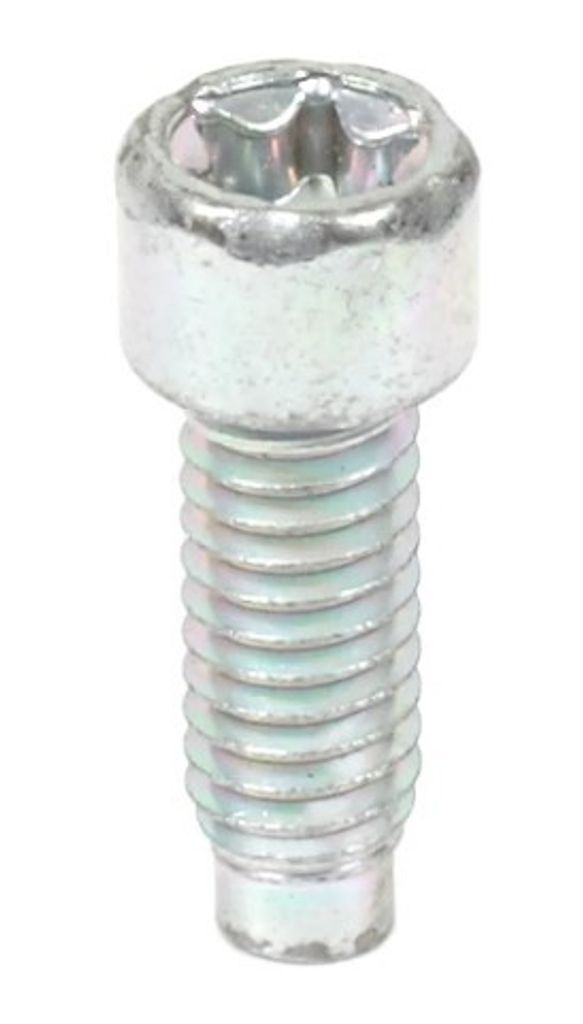 Briggs & Stratton Skruv 698941