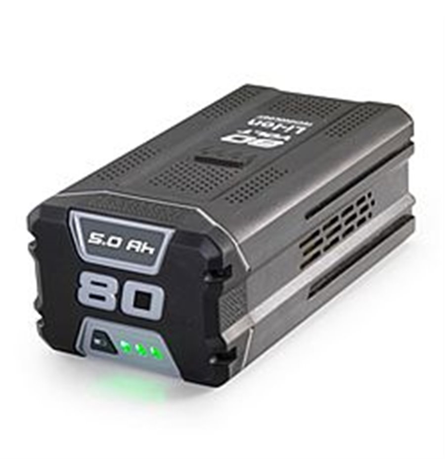 Batteri Combi 48SAE, Multiclip 47 SAE, 80V, 5.0AH, 1111-9310-01