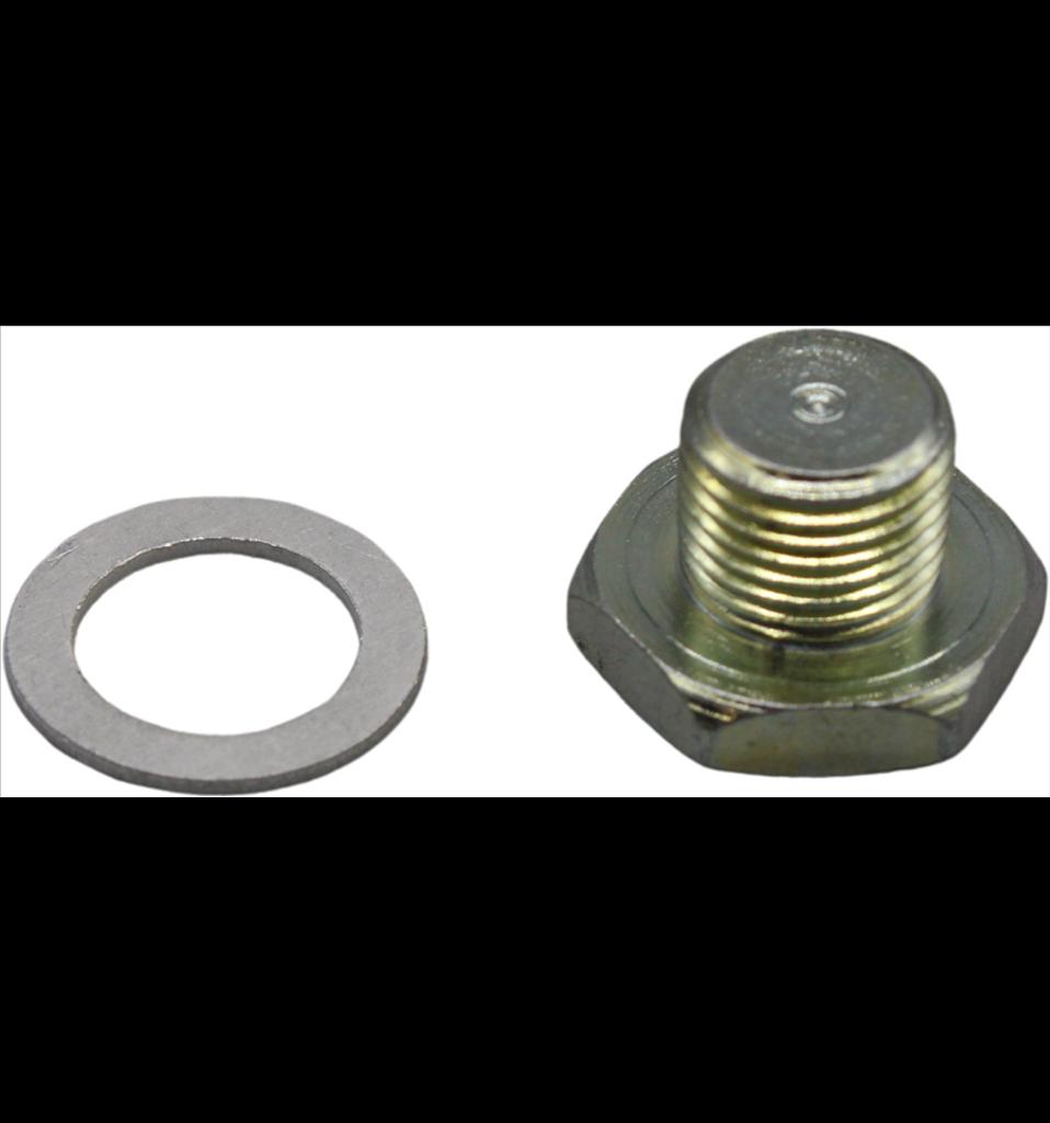 Bottenskruv förgasare 793465