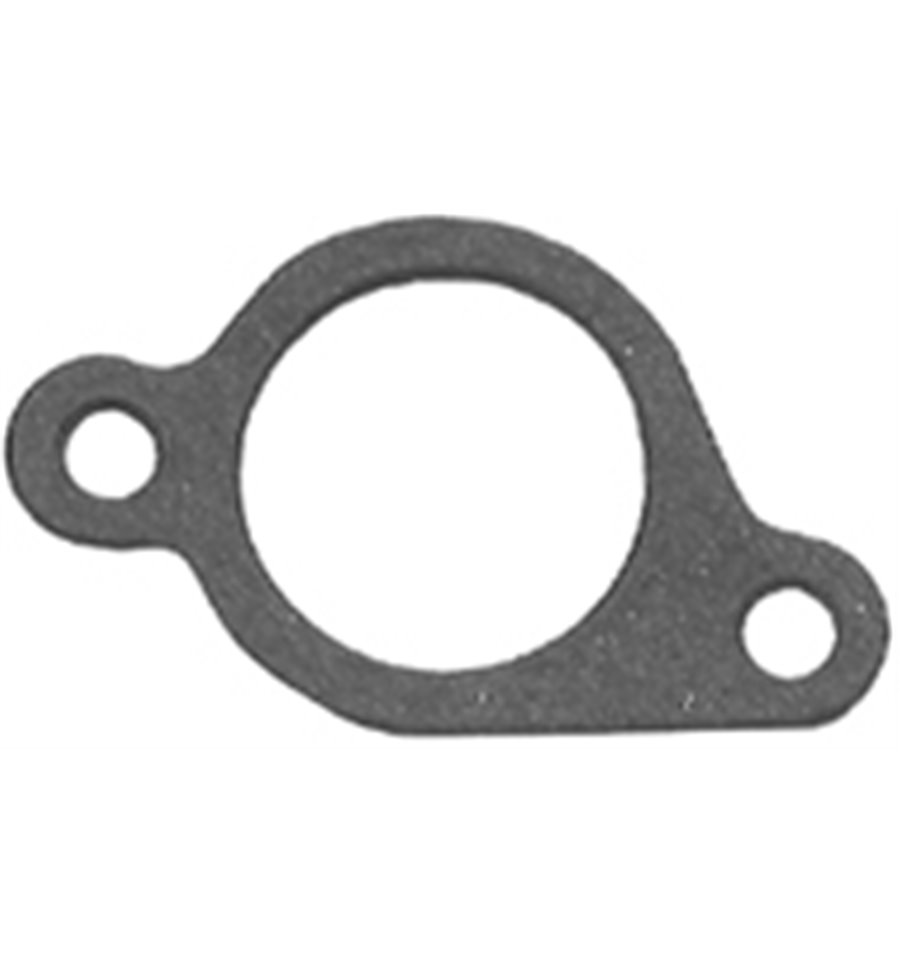 Briggs & Stratton packning insug 272199S