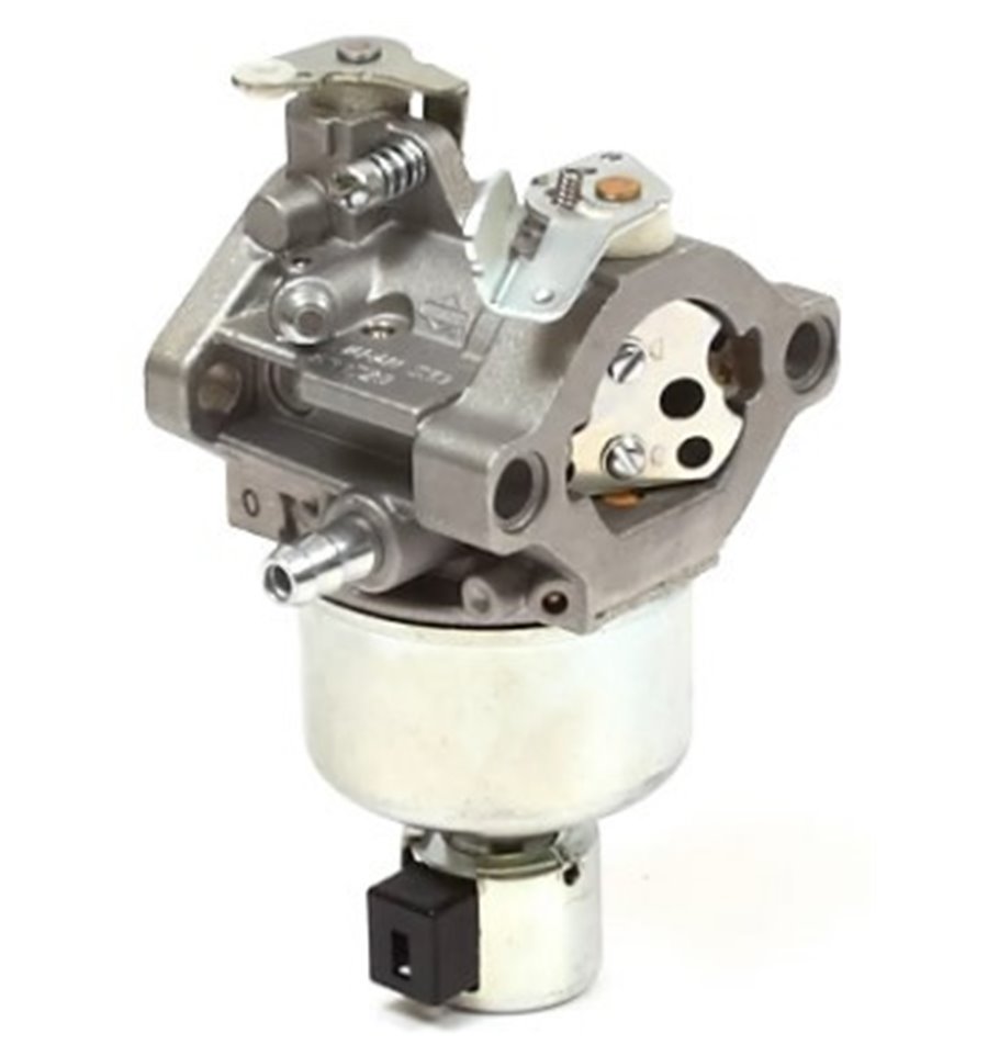 Förgasare 791889