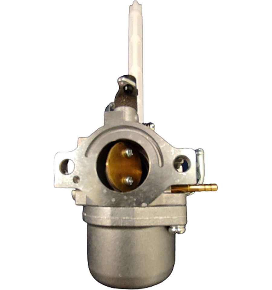 Förgasare 796122
