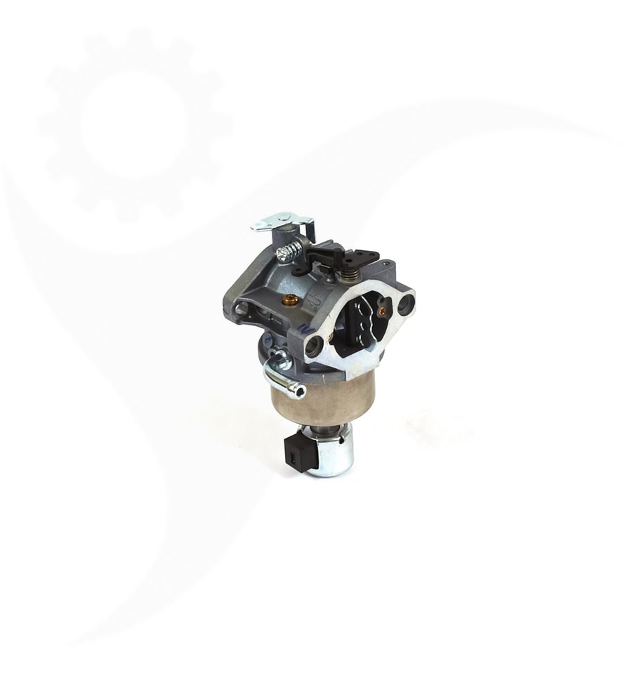 Förgasare RuiXing 594593