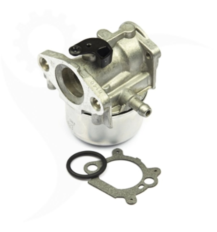 Förgasare Quantum 799868