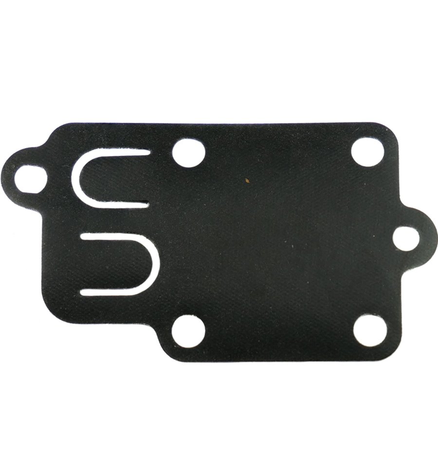 Membran Briggs & Stratton 270026