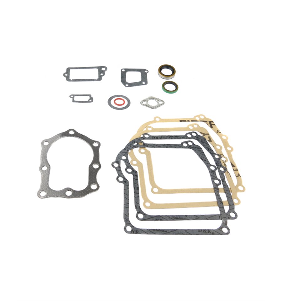 Packningssats Briggs & Stratton, 391662