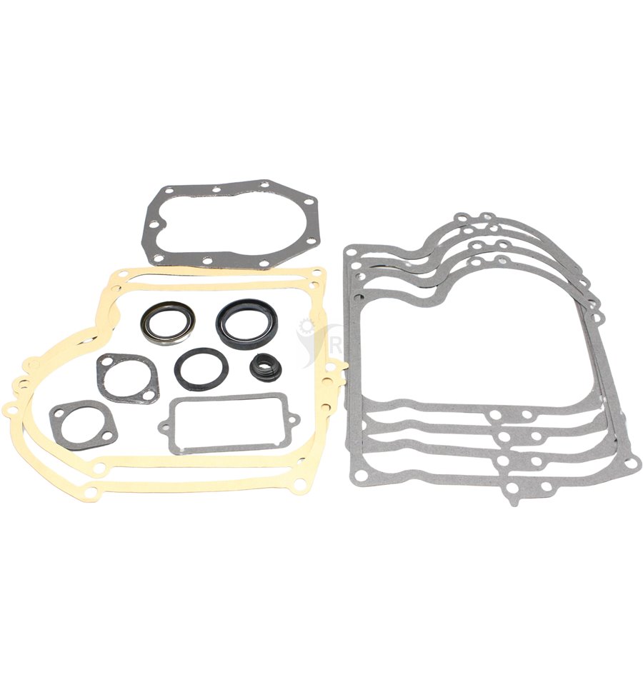Packningssats Briggs & Stratton 393411