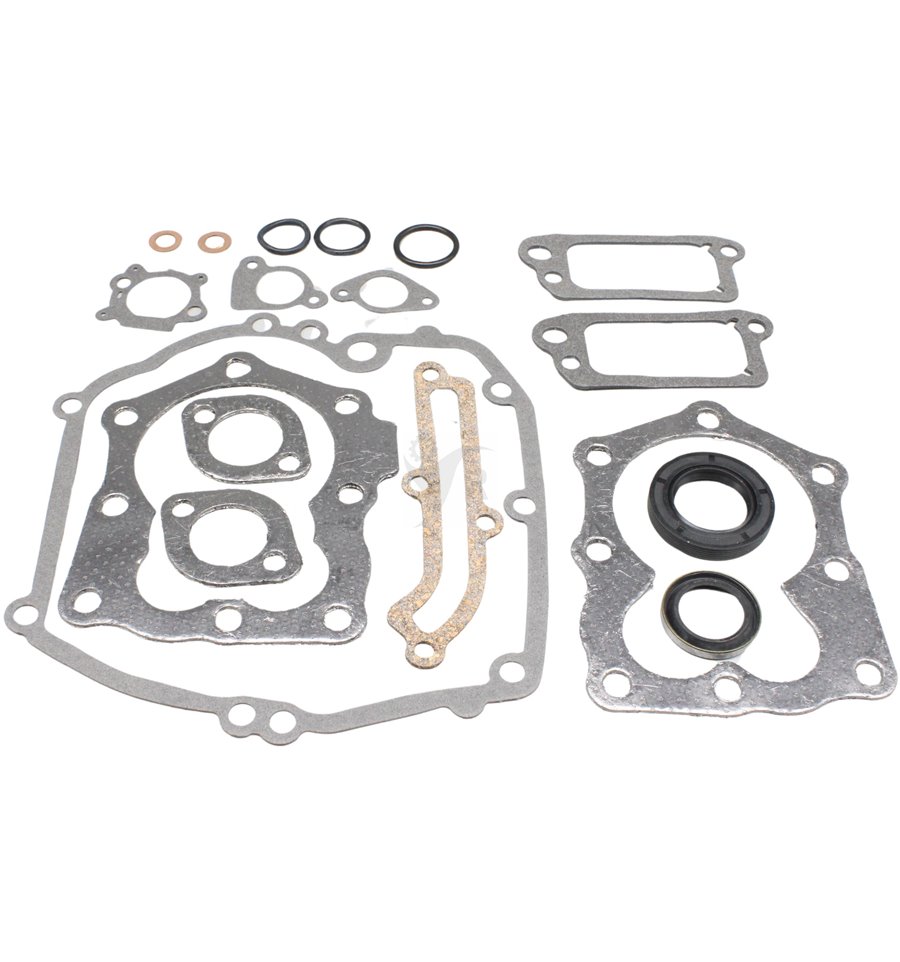 Packningssats Briggs & Stratton 590508