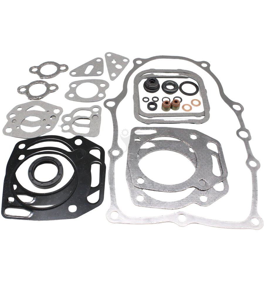 Packningssats Briggs & Stratton 841188, 304447