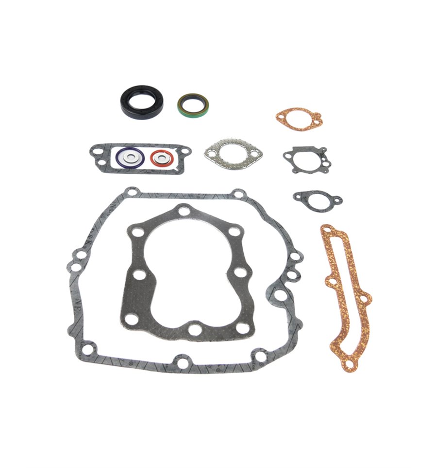 Packningssats Briggs & Stratton Quantum, 493263, 496117