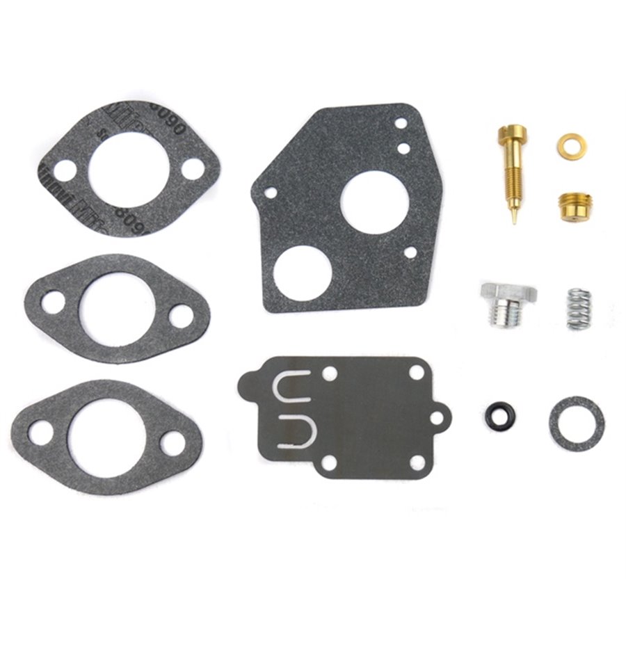 Renoveringskit förgasare 12-del Briggs & Stratton 494624