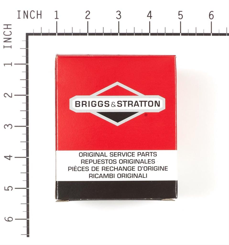 Briggs & Stratton förgasare 697415
