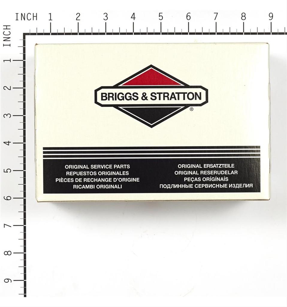 Briggs & Stratton Förgasare 845199
