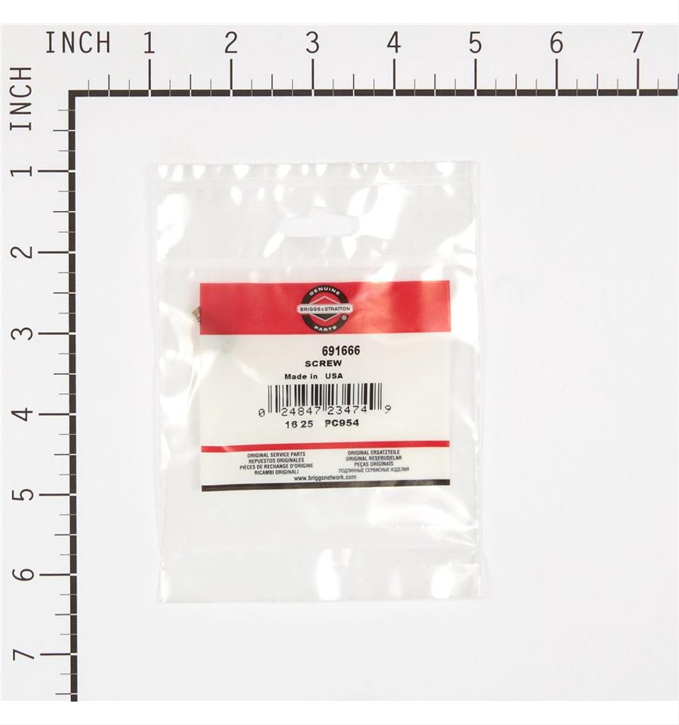 Briggs & Stratto Skruv 691666