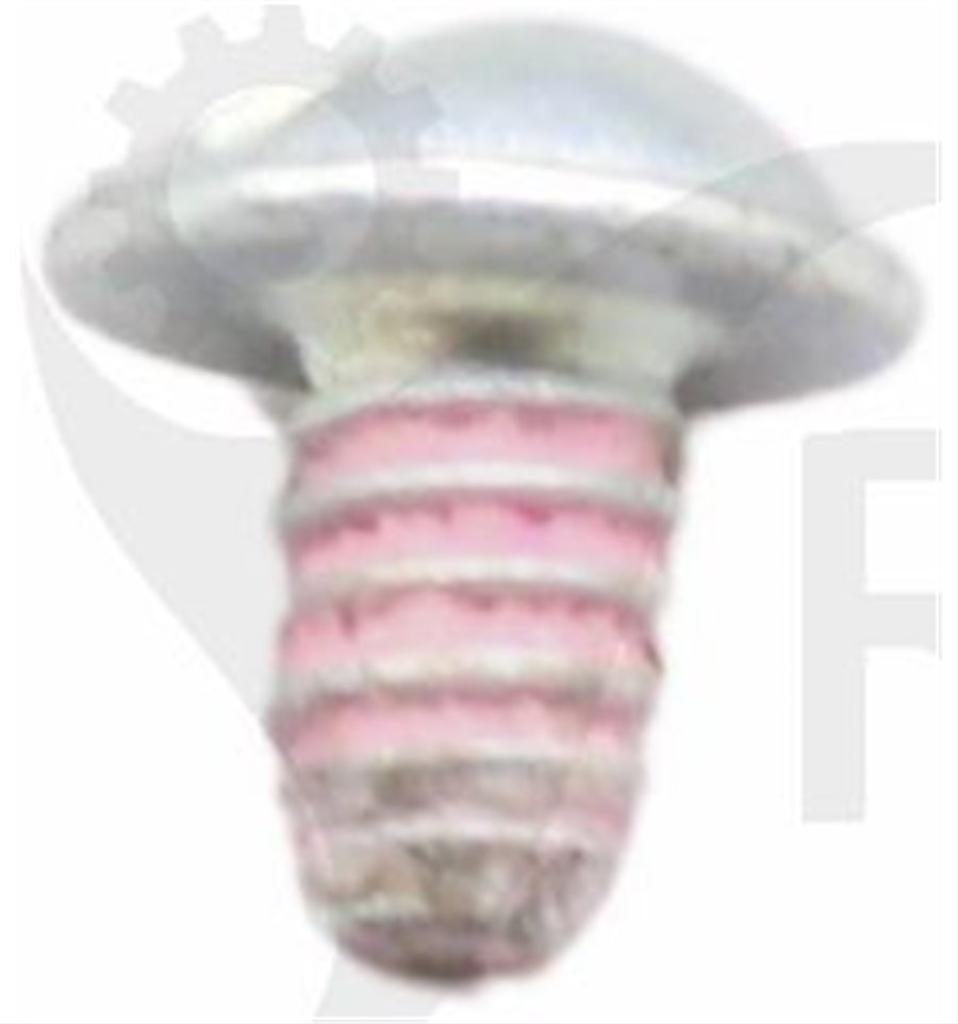 Briggs & Stratton Skruv 691636