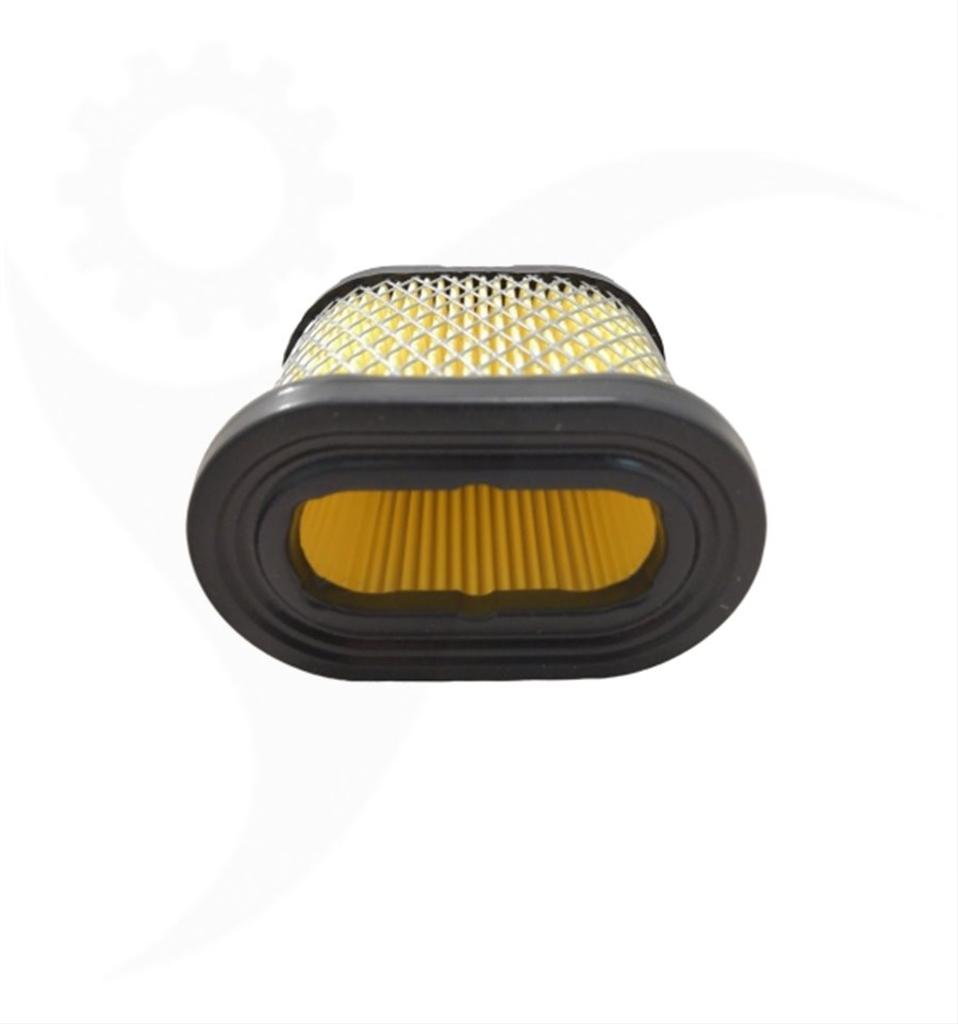 Luftfilter Briggs & Stratton Intek, OHV, 697029, 690610, 498596