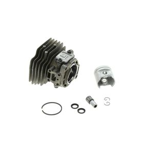 Cylinder 5773803-01