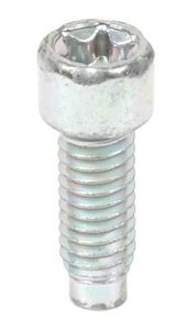 Briggs & Stratton Skruv 698941