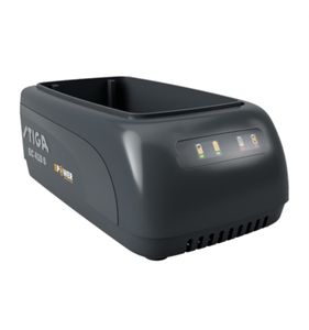 Batteriladdare 48V, Multiclip 747, SGT500AE m.fl. 277020008/ST1