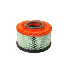 Briggs & Stratton luftfilter 797819
