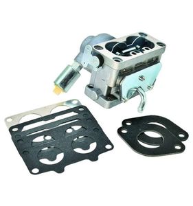 Förgasare Briggs & Stratton 796997