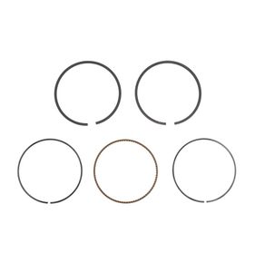 Kolvringssats 791787