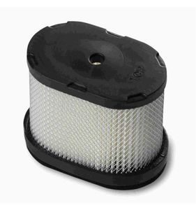 Luftfilter Briggs & Stratton Intek, 498596, 697029