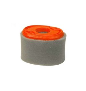 Luftfilter Briggs & Stratton XR550, 796970