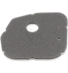 Luftfilter PR730, SPR276C, 118804789/0