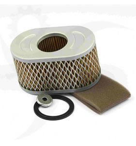 Luftfilter Vanguard 10hk, 797033