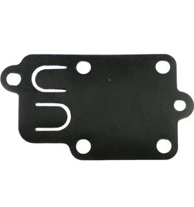 Membran Briggs & Stratton 270026