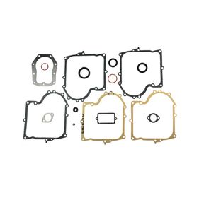 Packningssats Briggs & Stratton 10-13hk, 494241