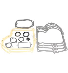 Packningssats Briggs & Stratton 393411