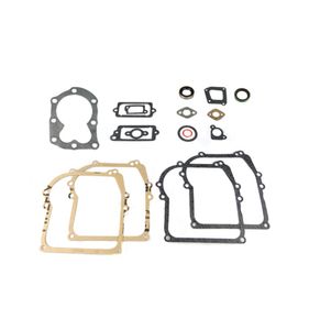 Packningssats Briggs & Stratton Sprint, Classic 590777, 298989, 794209