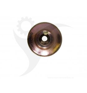 REMSKIVA,2.50 4L .75ID