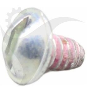 Briggs & Stratton Skruv 691636