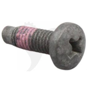 Skruv 790029