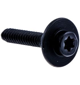 Skruv till bensintank, 5300164-45